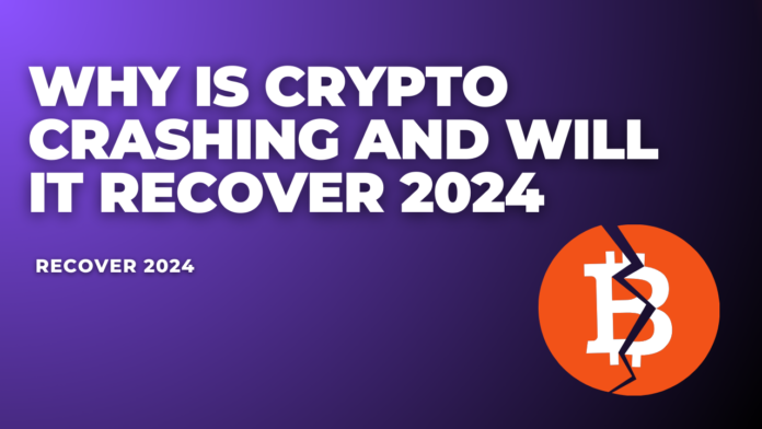 Why is Crypto Crashing and will it Recover 2024